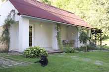 Hotel pre psov Chiro so záhradou