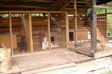 hotel pre psov - oddelené koterce pre psov