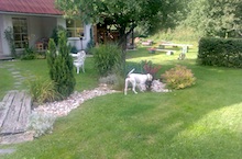 priestranná záhrada rodinného domu