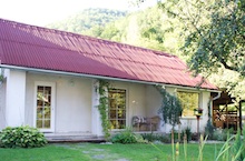 budova hotela pre psov